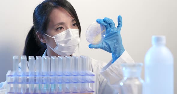 Female Scientist checking Petri dish