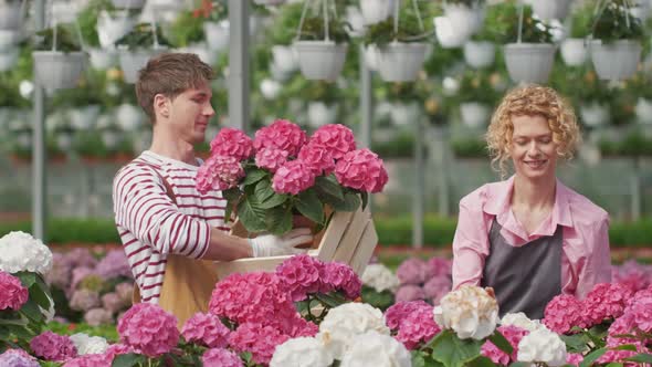 Portrait Couple Workers Who Work Together in a Flower Center Collect for Sale Purple Hydrangea