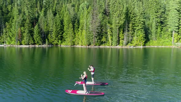 Couple rowing a stand up paddle board in the river 