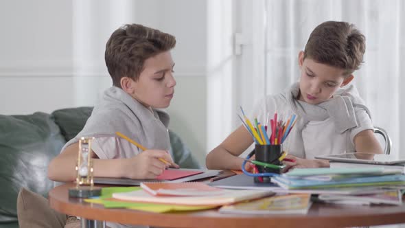 Two Caucasian Twin Brothers Sitting at the Table and Studying