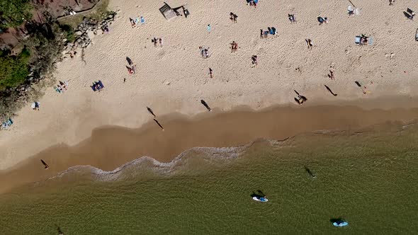 Aerial top down view of swimmers on the beach at Noosa Main Beach, Noosa Heads, Queensland, Australi