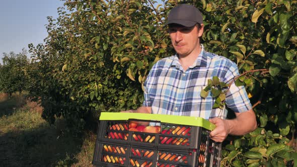 Attractive People with a Harvested Crop Outdoors