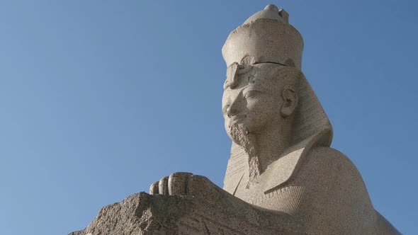 Egyptian stone sphinx and a clouds - St. Petersburg, Russia