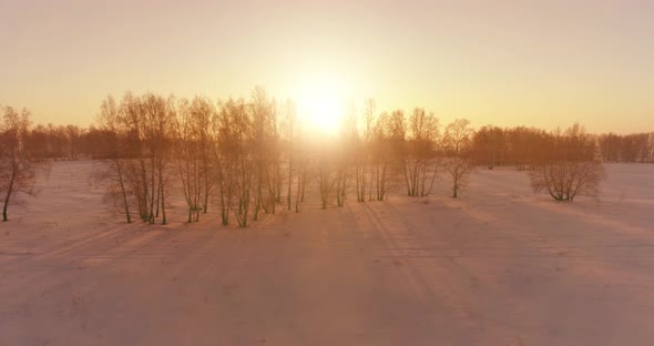 Aerial Drone View of Cold Winter Landscape with Arctic Field, Trees Covered with Frost Snow and