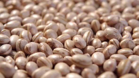 Brazilian Carioca Pinto beans falling in slow motion. Uncooked popular mexican legumes. Macro