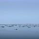 North Sea covered with ice floes, Nes, Friesland, Netherlands - VideoHive Item for Sale