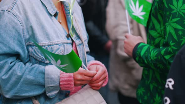 Hands of Promarijuana Manifestation Participants Wearing Weedpatterned Clothes and Holding Small