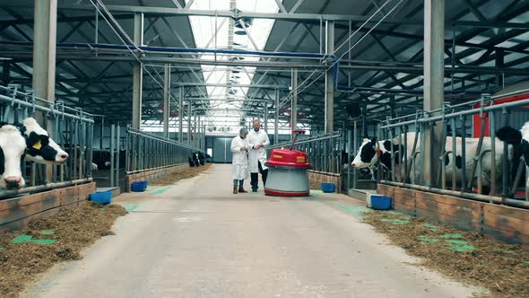 Two Farmworkers are Discussing an Automated Feed Pusher