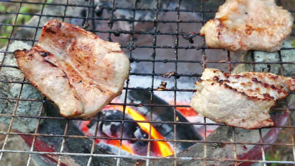 Pork Barbecue Grilling on Stove