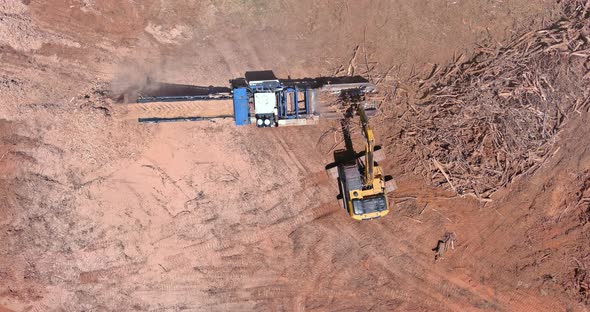 Work Conveyor of Wood Roots Crush with a Chipper Shredder