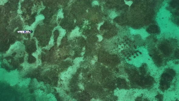 Tropical Coral Reef Aerial Top View