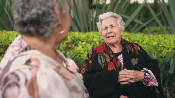 Elderly women talking in garden