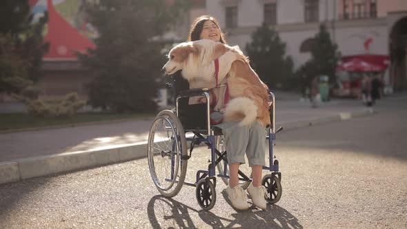 Pretty Disabled Invalid Asian Girl Sitting on Wheelchair and Petting a Guide Dog While Riding on