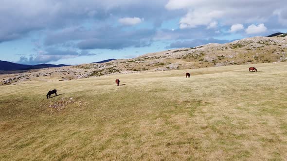 Flying Over Mountain Meadows in Sunny Day