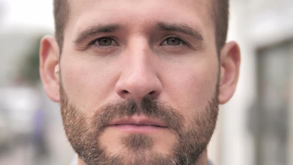 Close up of Beard Casual Man Face