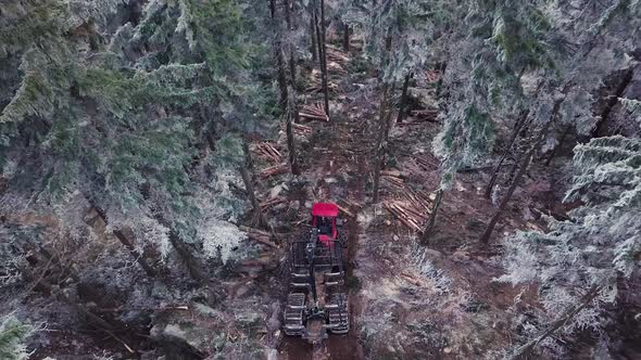 Wood Processing Factory. Aerial shot, Forest Logging Machinery Equipment