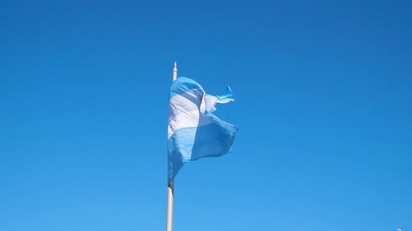 The Flag of Argentina waving in the wind