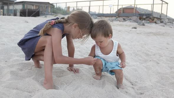 Girl Helping Her Little Brother to Look for Seashells in the Sand on the Coast