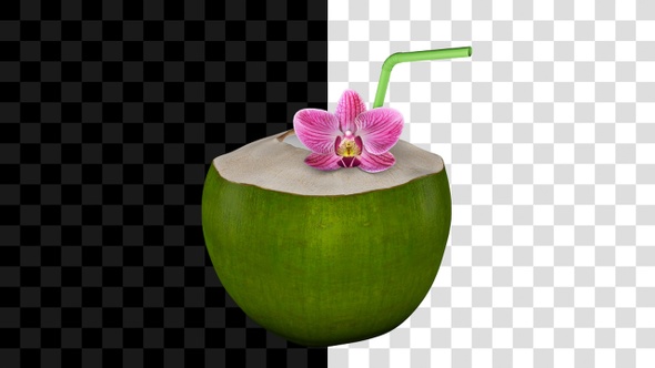 Green Coconut Nut