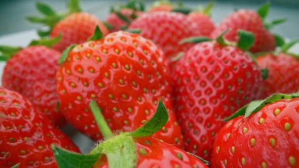 Sweet Organic Strawberries Straight From Garden, Camera Moving By Zoomed in Red Appetizing Berries