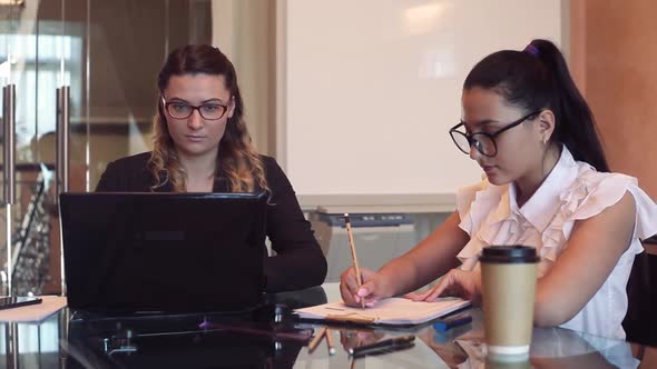 A Team of Two Business Girls Working on a Business Project in the Office