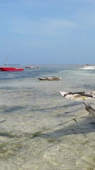 Vertical Video of Low Tide in the Ocean Near the Coast of Zanzibar Tanzania