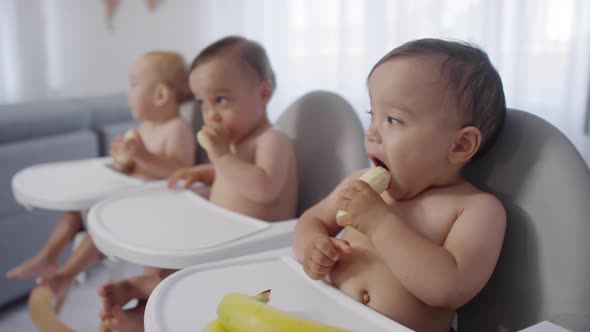 Mixed Race Baby Triplets Sitting in High Chairs and Eating Bananas