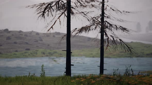 Swiss Alps with Green Alpine Meadow on a Hillside and Surrounded By Pine Forests alt