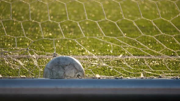 The Ball Lies in the Football Goal, Soccer Championship