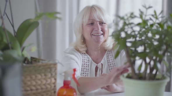 Satisfied Senior Caucasian Retiree Touching Green Leaves of Domestic Plants and Smiling