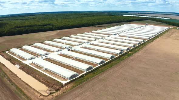 Aerial view of rural area. Aerial view over big agricultural farm