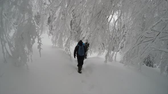 People Hiking In Snow Winter Mountain Forest