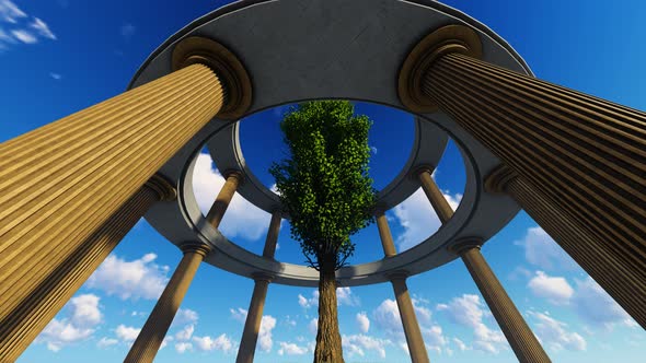 Charming Tree Among Columns alt