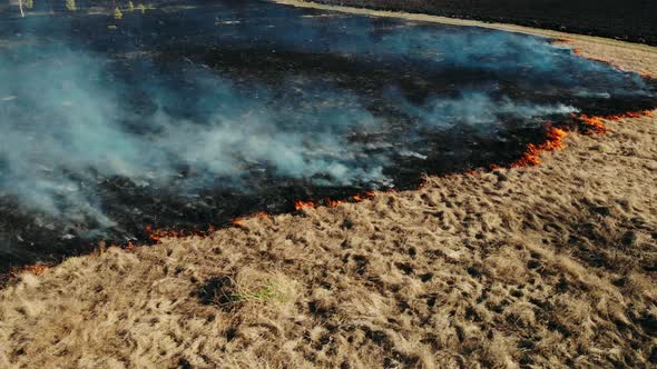 Aerial Top View of a Grass Fire