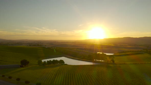 Slow aerial pan view above scenic vineyard with lake below in Yarra Valley, Victoria, Australia.