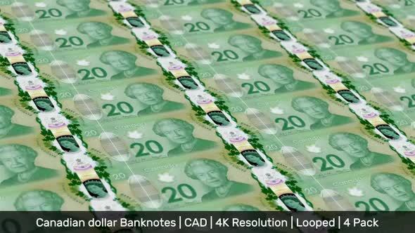 Canada Banknotes Money / Canadian dollar / Currency $, Can$, C$, CA$ / CAD / 4 Pack - 4K