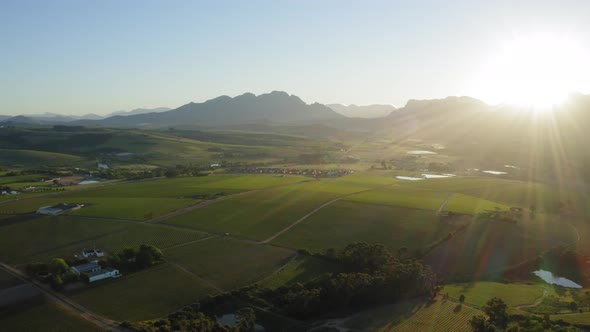 Aerial landscape, warm sunrise sun rays, farm winelands vineyards, Stellenbosch