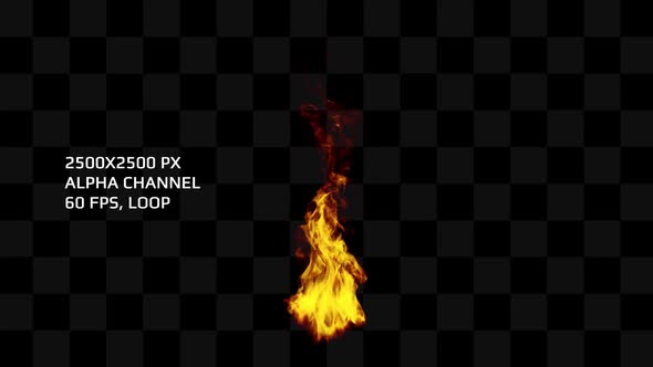 Fire 2 - Loop, 2500x2500, Alpha, 60fps