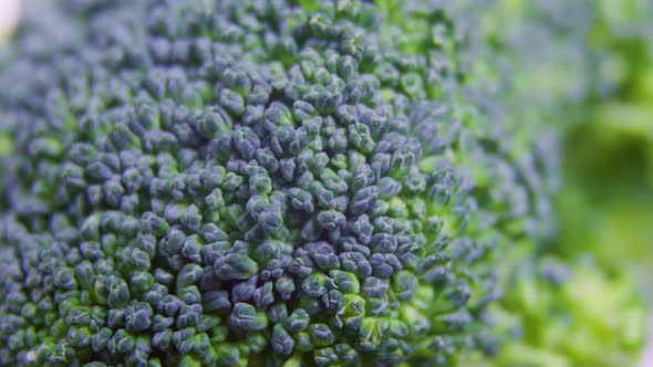 Rotating Shot of Various Foods Fresh Green Broccoli