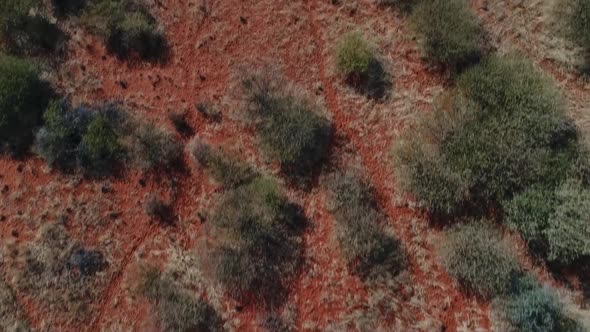 Aerial footage over the greater Kalahari region in Southern Africa