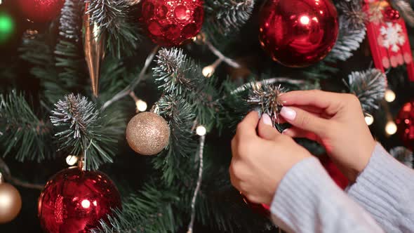 Closeup Female Hands Hanging Bright Toy Ball on Christmas Tree