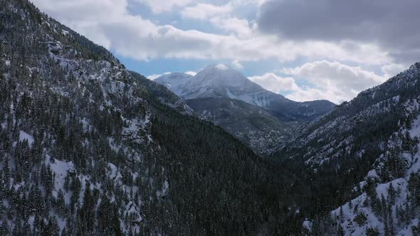 Fling over winter landscape with snow covered pine tree forest in Utah