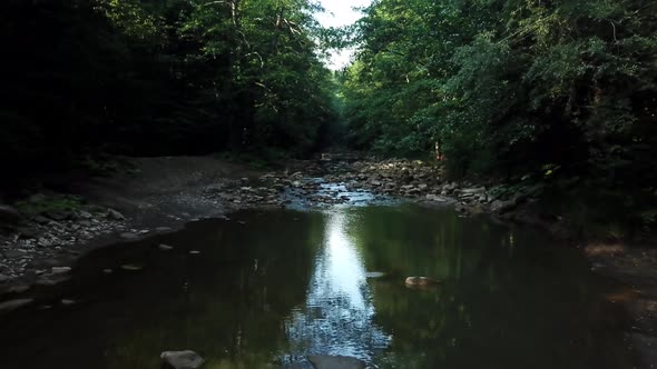 Aerial Flying Between Trees in Forest Under River on Sunny Day