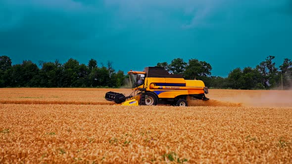 View of modern combine harvester collects ripe wheat