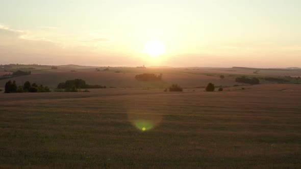 Aerial, Drone Flying Over a Wheat Field During Sunset