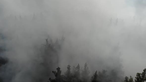 Epic Aerial View of Smoking Wild Fire