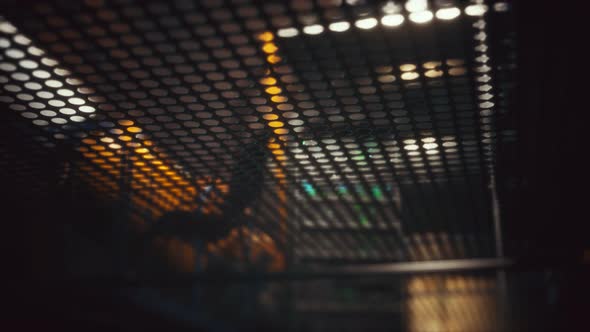 Under the Wire Floor in Spaceship alt