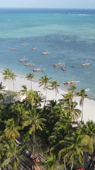 Beach on the Coast of Zanzibar Island Tanzania