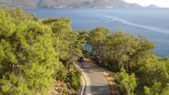 Drone track car in turn through lush forest revealing wide open coastal view