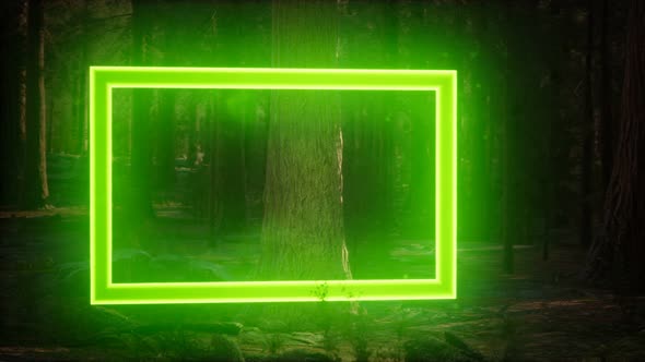 Neon Glowing Rectangle Frame in the Night Forest